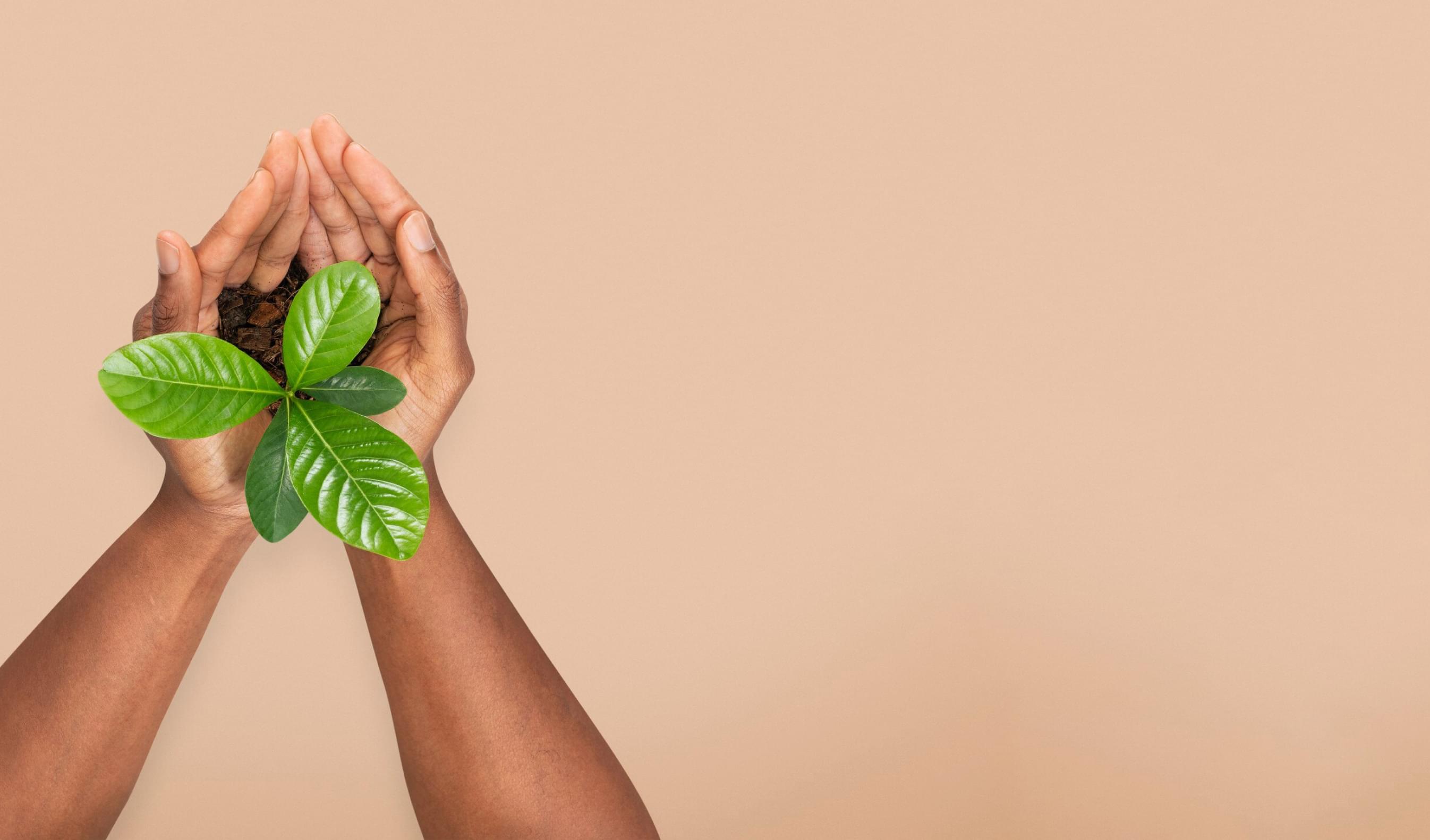 Sustainability
